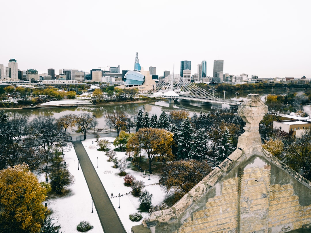 Winnipeg cinematic view